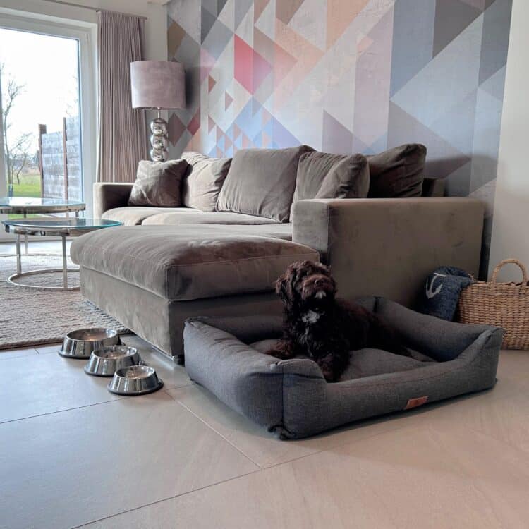 ein Hund, der auf einem Hundebett in einem Wohnzimmer liegt