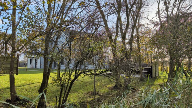 View through autumnal deciduous trees of a modern gray holiday home with a well-kept lawn and a demarcated wooden terrace.