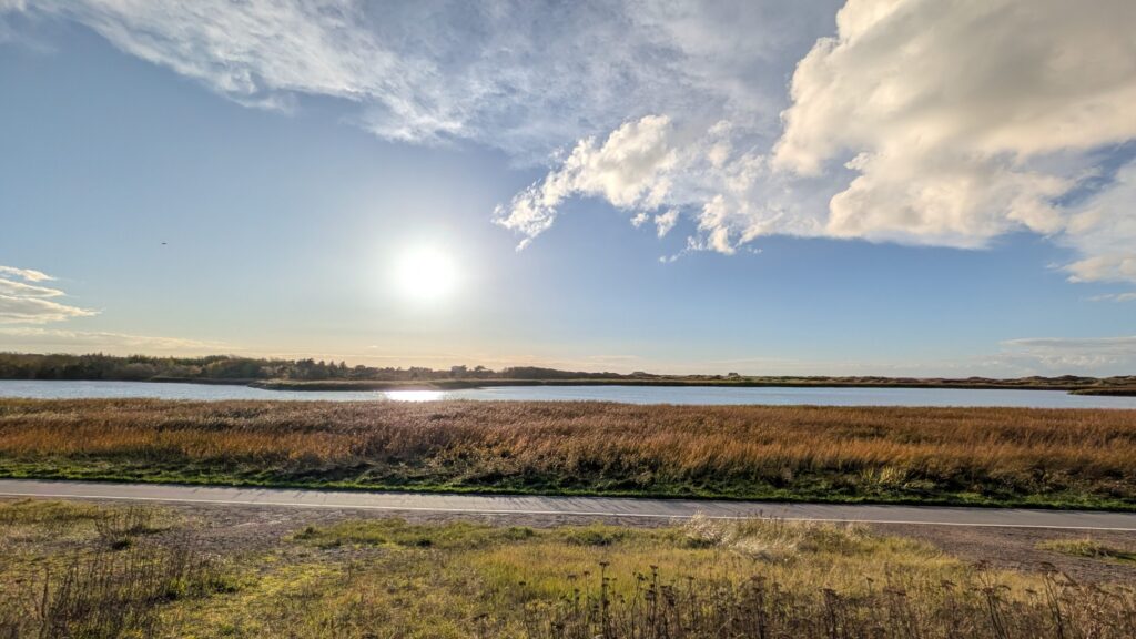 Asphaltierter Weg entlang goldbrauner Salzwiesen und einer ruhigen Wasserfläche unter strahlender Sonne und blau-weißem Himmel.